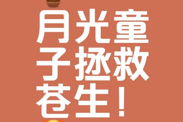 兔子的小孩是什么命？深入探讨兔年命运之谜！