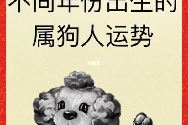 1990年属狗人命理解析：命运与性格的深度剖析