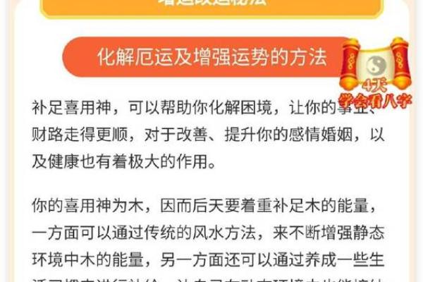 算命与养命：解密生命的源泉与奥秘