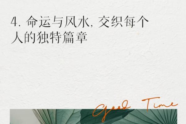 探寻人生的奥秘：福、命、禄的完美结合与追寻
