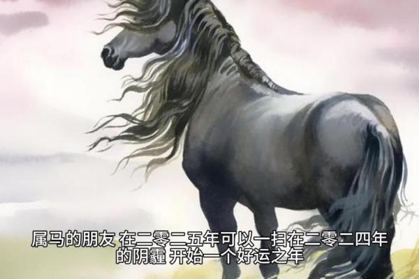 2023年78年马女的命运解析：探索性格与运势的奥秘