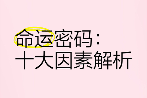 九月初五出生的人命格解析：命运的密码与人生的方向