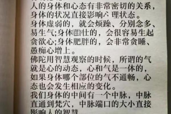 探秘命理奥义：一命与两命的深刻解读