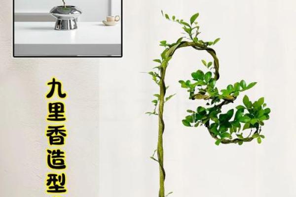 土命家庭适合养什么植物，让家中生机勃勃！