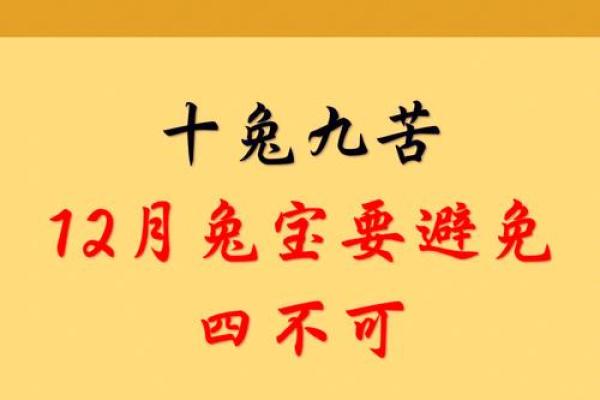 2023年兔宝宝命运解析：揭秘兔年出生孩子的性格与未来发展