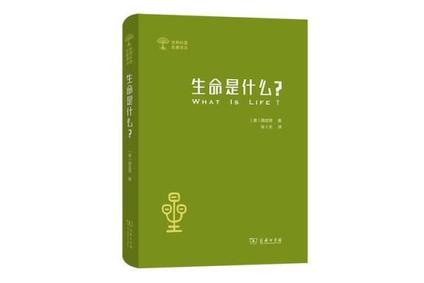 探寻生命的奥秘：到底什么是命？