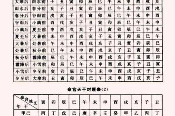 2014年龙年出生的命运分析：性格、职业与财富运势全解析