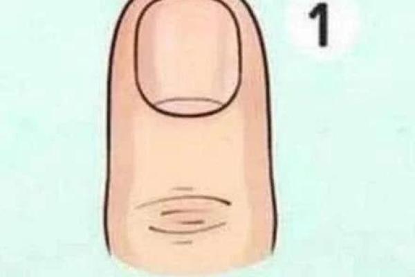 25号出生的人命运解析：独特的性格与生活轨迹
