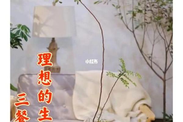 探秘“小康命”：生活的理想与追求新境界