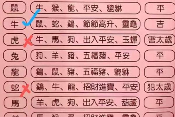 十年生辰：生肖命理与人生轨迹的秘密探寻