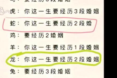 2006年的生肖与命运：掌握生肖背后的精彩故事