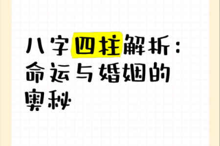 算命无婚姻命，揭示命运背后的秘密与启示