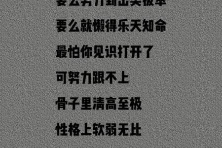 懒惰命：关于人生、选择与追求的另类思考