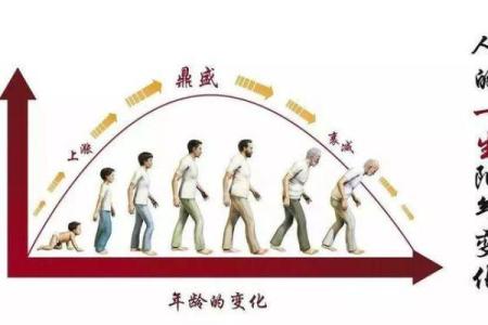 探索命星的奥秘：如何识别自己的命星并过上更幸福的生活