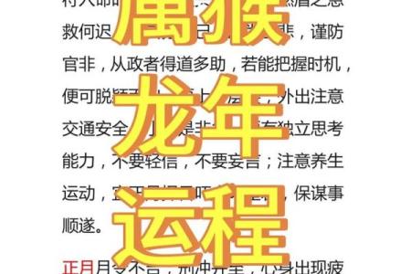 68岁生肖与命理：探寻属猴人的命运奥秘