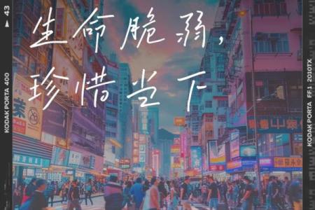命不待他：把握当下，珍惜每一瞬