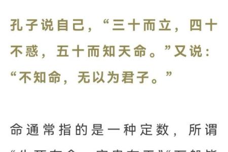 六命琴与一命琴的深层区别探讨与分析