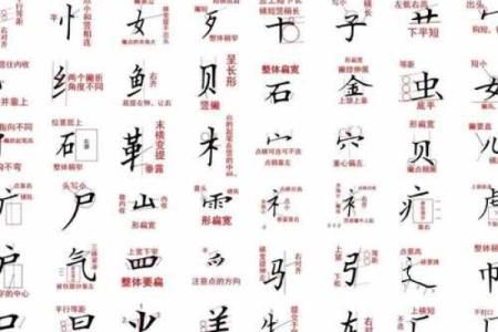 探秘“命”字的偏旁与读音，了解更深层的文化内涵