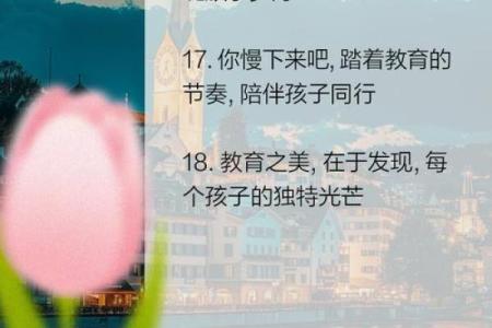 回首过去皆是命，珍惜当下创造未来的智慧之旅