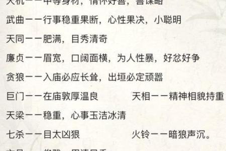 探寻人生的奥秘：福、命、禄的完美结合与追寻