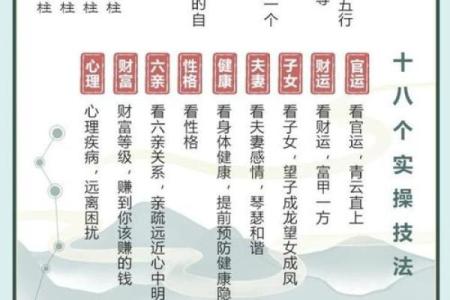 探索“官母命”的奥秘：命理学中的女性身份与命运