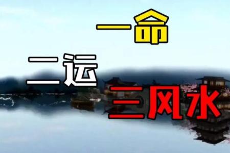 探秘命理奥义：一命与两命的深刻解读