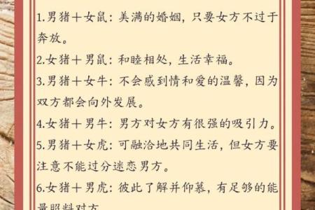 71属猪男人的命运解析：探寻性格与人生轨迹
