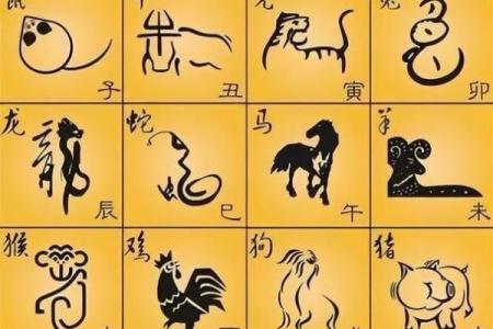 状元命：揭秘与生肖的神秘连接