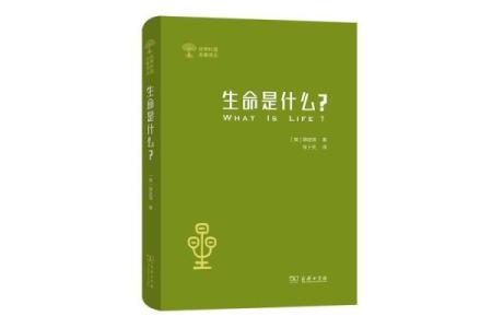 探寻生命的奥秘：到底什么是命？