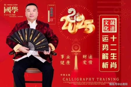 41岁属猪，揭开命运之谜：领略人生的智慧与机遇