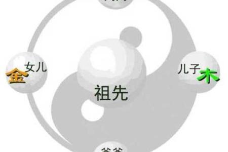 解析每年命运与五行的神秘关联，助你掌握生活的节奏！