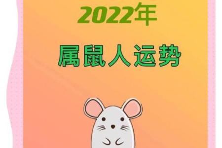 属鼠金命者的五行缺失与命理解析：如何改善运势，提升生活质量