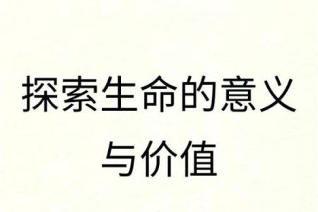 命的真正含义：探寻人生的意义与价值