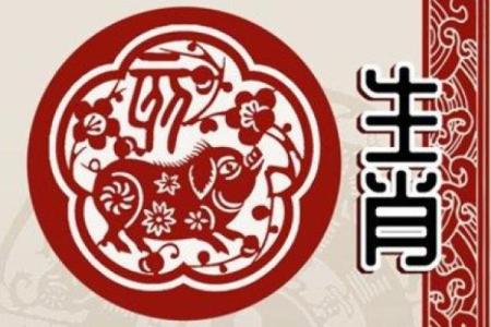 1995年属猪的命理解读：解析你的性格与运势