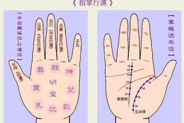 中风后的生命线：那些让人痛心的真相与教训