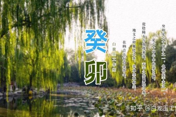 揭秘木鱼命：命运解析与破解之道