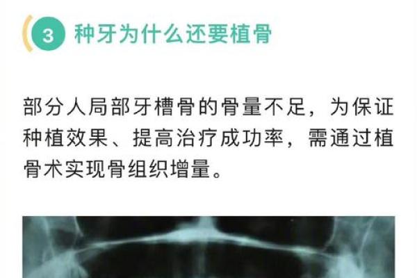 26颗牙齿背后的命运密码：揭示牙齿与命运的深刻联系