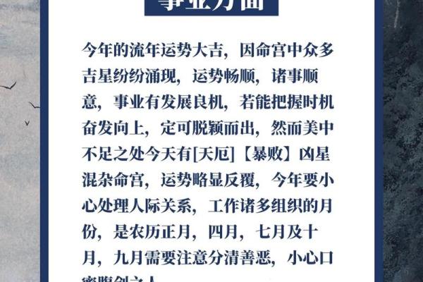 “揭示猪与大海水命之缘：佩戴什么能助你扬帆远航？”