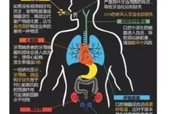 32颗牙齿的命运：口腔健康与人生命运的奇妙关系