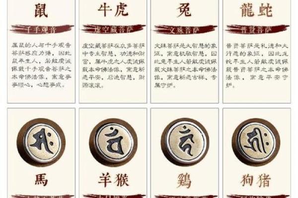 探寻男性属相背后的命格奥秘，揭示人生运势与性格特征