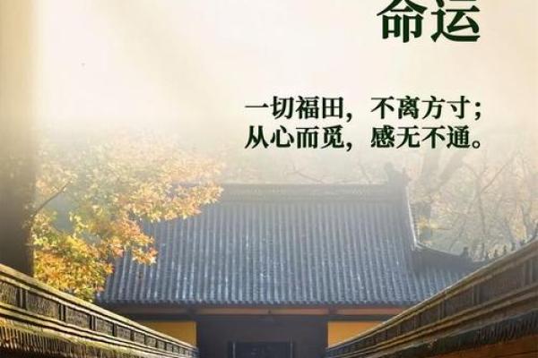 贤能命理现象的深度解析：探寻天赋与命运的奥秘