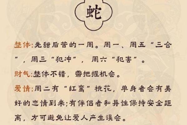 解密命理：生肖属相背后的深刻寓意与人生启示