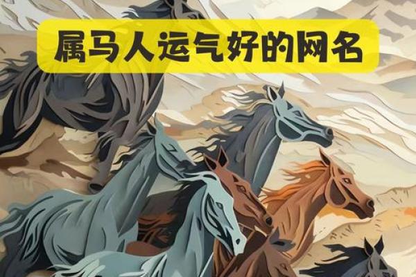 为金马命选择最合适的佩戴物，提升运势与魅力！