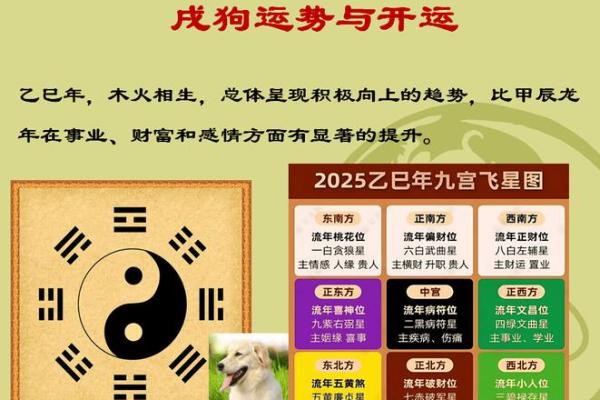 属狗人的正月13命理分析：探索性格与运势的奥秘