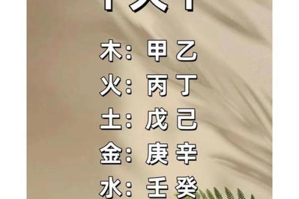 2005年属鸡人的命运解析：聪明灵活，前途光明！