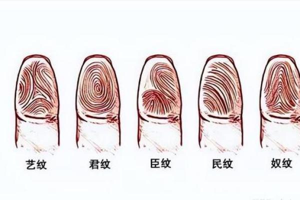 手指全是斗：解密独特手相与命运的秘密
