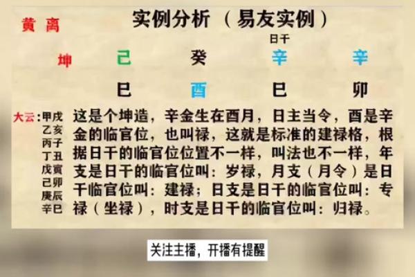 乙亥命人适合佩戴的饰品解析与推荐