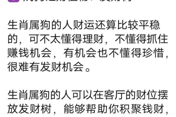属狗子时男子的命运与脸型解析：你是如何影响成功与幸福的？