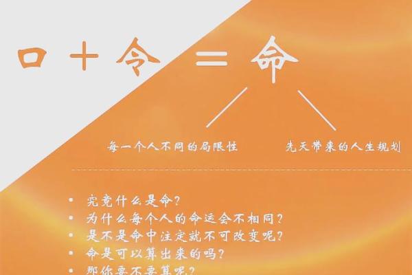 探寻命理之谜：你出生的那一天代表什么命？