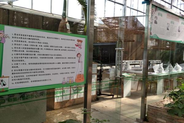 探索木命的奇妙世界：性格特征与生活应用